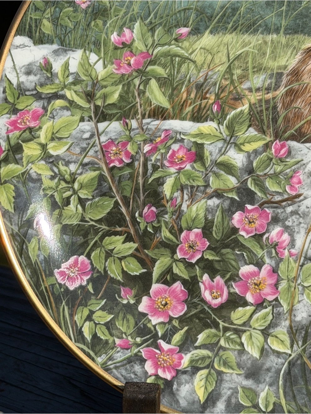 “Wild Roses” Collector Plate Decor | Bunny Rabbit | So Cute! - Picture 7 of 10